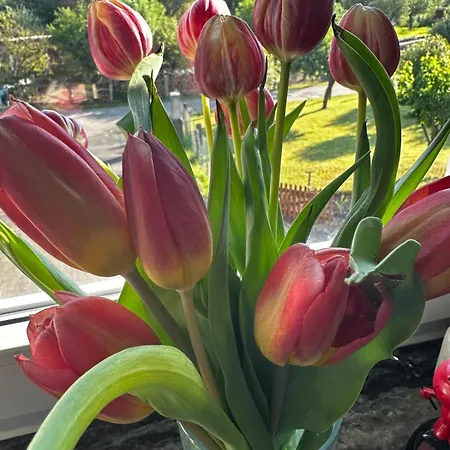 Werraliebe * Bad Sooden-Allendorf