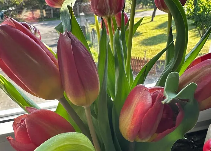 Werraliebe * Bad Sooden-Allendorf